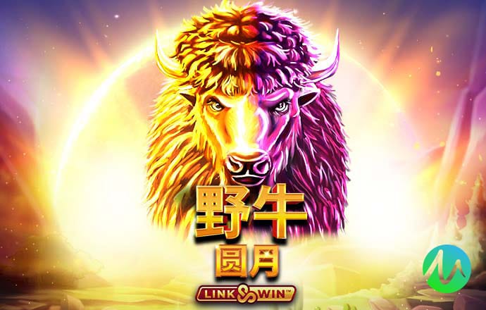 2024澳门原料网点站